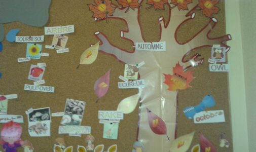 Ya llegó el otoño !!!!!!!