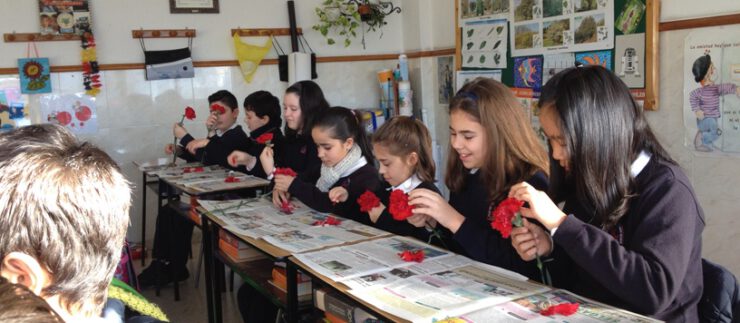 Actividade sobre as plantas en 5º de Primaria