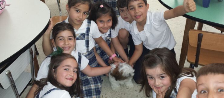 Los perros: protagonistas en 1º de Primaria