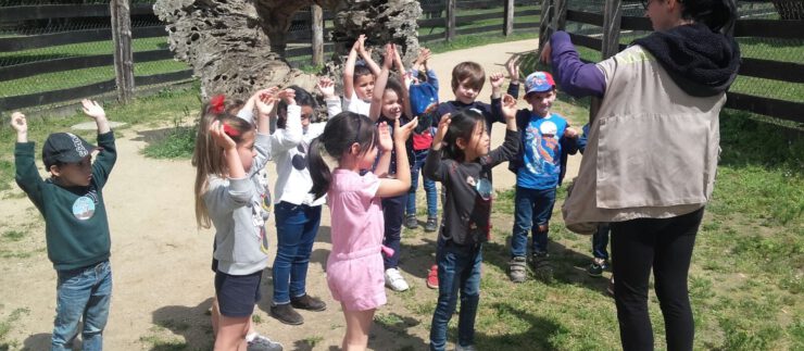 Infantil, 1º y 2º EP de fin de curso en Marcelle