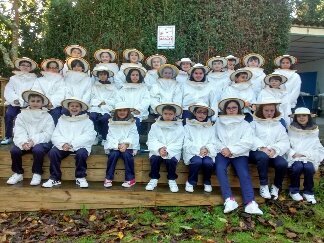 Casa de las abejas 3º y 4º EP