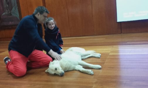 Curro ha vuelto al colegio