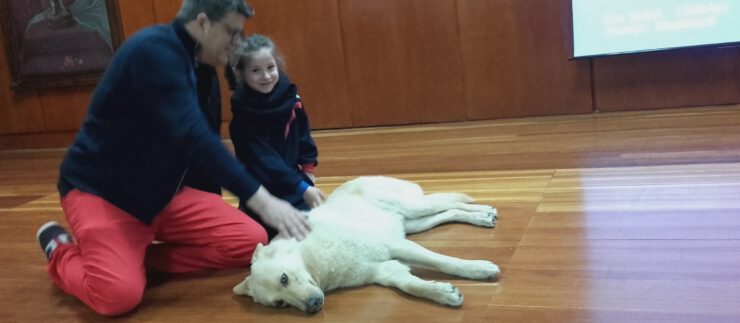 Curro ha vuelto al colegio