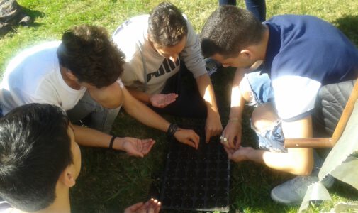 4º ESO e Bacharelato en «A Raíña»