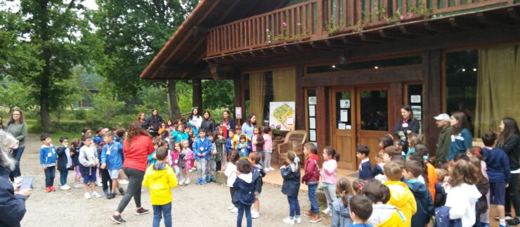 EI, 1º y 2º EP se van a la granja