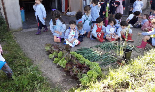 Finaliza nuestro primer curso con el Huerto de Infantil