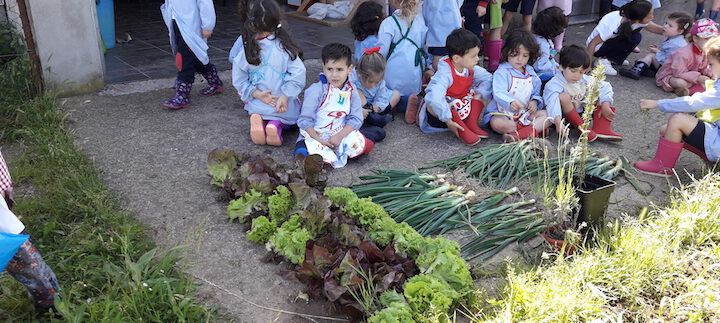 Finaliza nuestro primer curso con el Huerto de Infantil