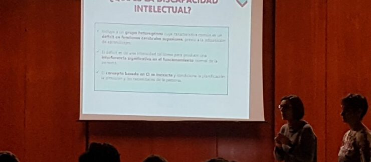 Discapacidad Intelectual. Hnas Hospitalarias Pai Menni