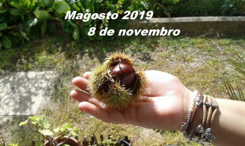 Magosto 2019