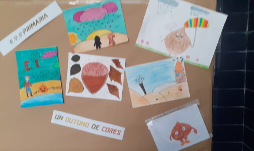 EXPOSICIÓN  “Un outono de cores” e “Captura o outono”