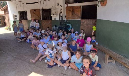 EXCURSIÓN FIN DE CURSO INFANTIL Y PRIMARIA