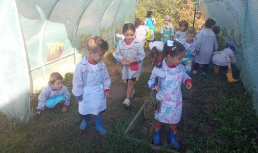 4 años en el huerto