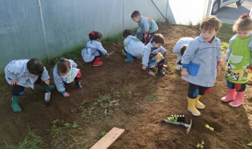 Huerto infantil