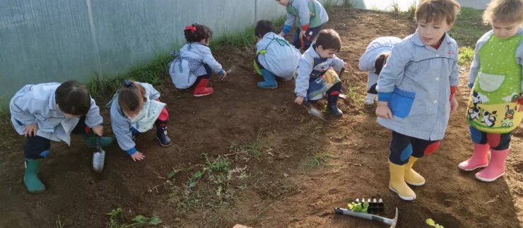 Huerto infantil