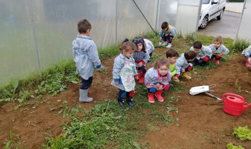 3 años controla el huerto