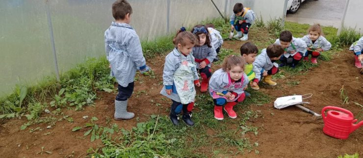 3 años controla el huerto