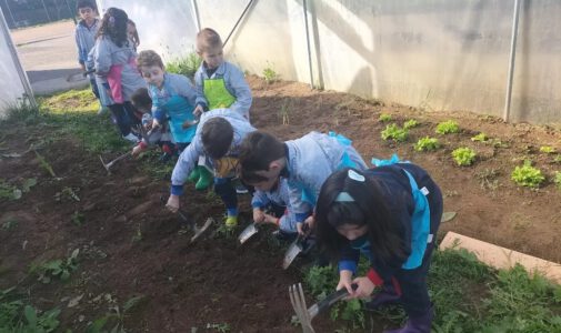 5 años en el huerto escolar