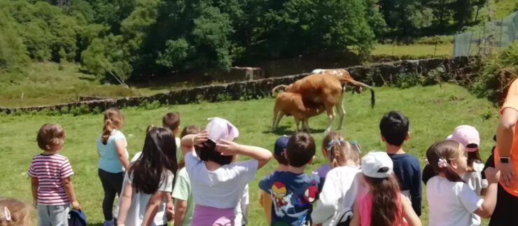 La granja Kiriko Infantil y 1º ciclo de primaria