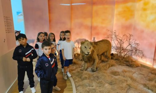 Visita a museos de Santiago dos alumnos de 1º e 2º
