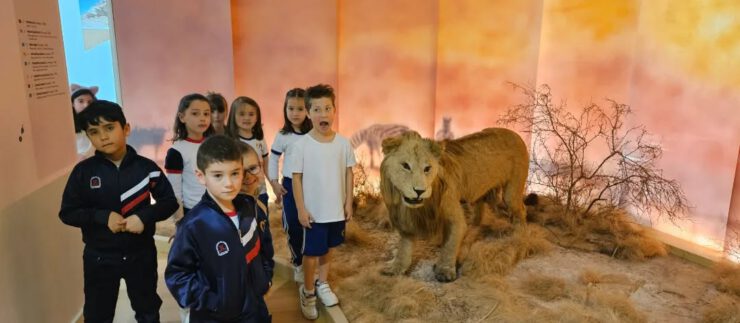 Visita a museos de Santiago dos alumnos de 1º e 2º