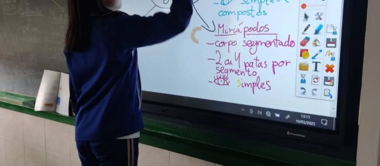 Reino animal en 1ºESO