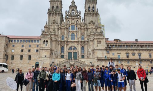 Visita a compostela
