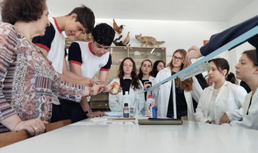 Erasmus día 4