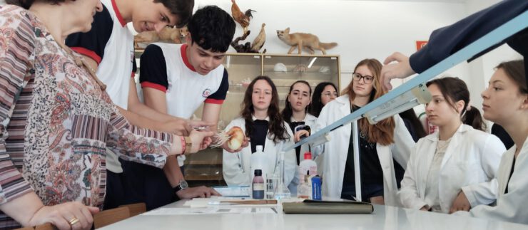 Erasmus día 4
