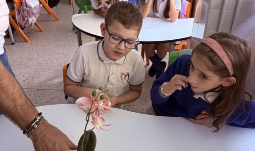Actividad “Toca-toca»