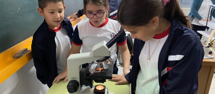 Prácticas en el laboratorio – 5ºEP